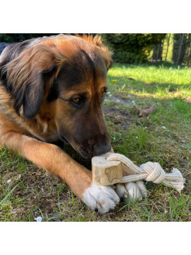 Dingo Psia-Kawka Gryzak z drewna kawowego sznur 1 węzeł 15cm