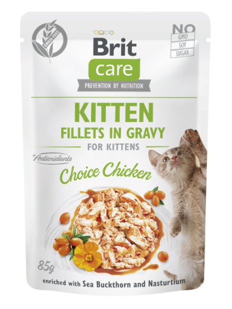 Brit Care Cat Fillets in Gravy Kitten Choice Chicken 85 g – Bezzbożowa mokra karma w sosie z filetami z kurczaka dla kociąt