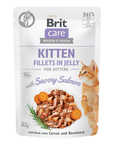 Brit Care Cat Fillets in Jelly Kitten Savory Salmon 85 g – Bezzbożowa mokra karma w galaretce z filetami z łososia dla kociąt