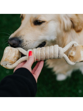 Dingo Psia-Kawka Gryzak z drewna kawowego sznurowy hantel 27cm