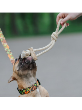 Dingo Psia-Kawka Gryzak z drewna kawowego sznurowy przeciągacz 37cm