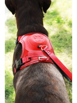 Zolux Szelki ze smyczą automatyczną Easyride XL czerwone