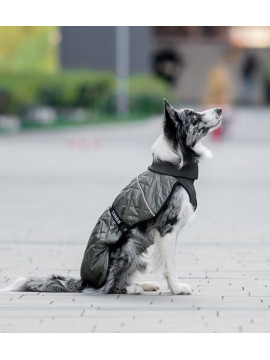 Chaba Kubrak Regulowany Chic M khaki