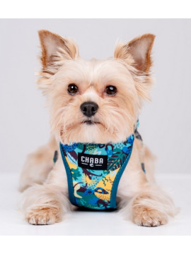 CHABA Szelki Guard Comfort Story III bezuciskowe M 1,6cm Carnival