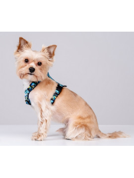 CHABA Szelki Guard Story III L 2,5cm Carnival