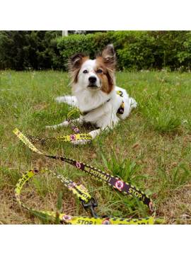 Dingo Smycz przepinana City - Nie Dotykaj 2x220cm