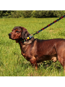 Dingo Smycz przepinana City - Graffiti 2x220cm