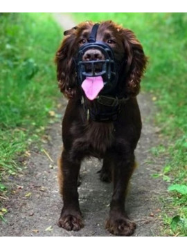 Baskerville Kaganiec Ultra-3 czarny