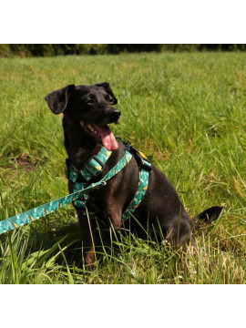 Dingo Smycz przepinana City - Monstera 2x220cm