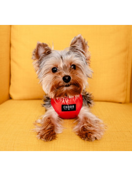 CHABA Szelki Guard Comfort Classic L czerwone