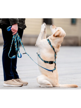 CHABA Smycz regulowana Story III L 25mm/260cm Carnival