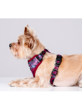 CHABA Szelki Guard Comfort Story III bezuciskowe S 1,6cm Lakota