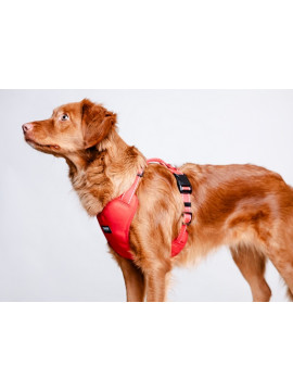 CHABA Szelki Guard Comfort Classic M czerwone