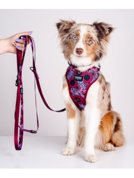 CHABA Smycz regulowana Story III L 25mm/260cm Lakota