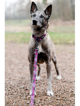 CHABA Smycz regulowana Story III L 25mm/260cm Lakota