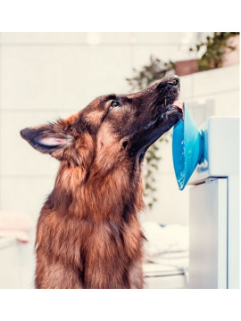 LickiMat Splash miska z przyssawką turkusowa