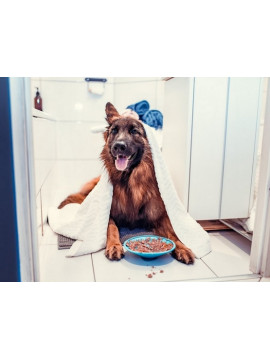 LickiMat Splash miska z przyssawką turkusowa