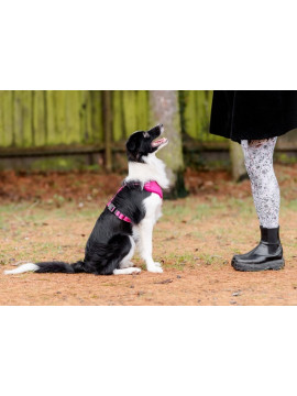 CHABA Szelki Guard Comfort Classic S fuksja