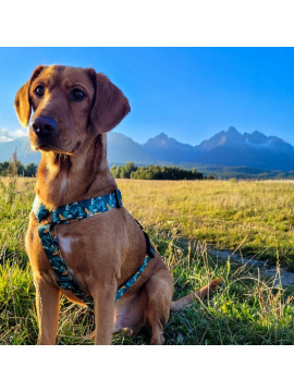 Dingo Szelki dwupaskowe Guard City - Monstera rozmiar S