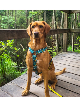 Dingo Szelki dwupaskowe Guard City - Monstera rozmiar S