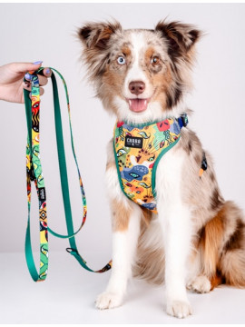 CHABA Smycz regulowana Story III L 25mm/260cm Jumbo