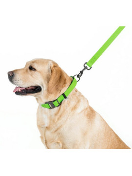 Collar Waterproof Smycz wodoodporna L-XXL 25mm/183cm jasnozielona