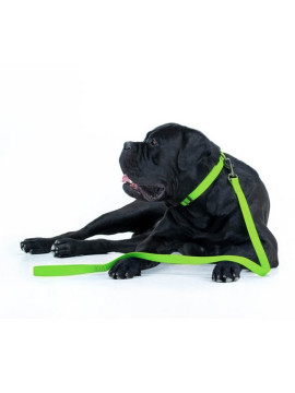 Collar Waterproof Smycz wodoodporna L-XXL 25mm/183cm jasnozielona