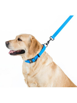 Collar Waterproof Smycz wodoodporna L-XXL 25mm/183cm niebieska