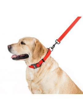 Collar Waterproof Smycz wodoodporna M 20mm/183cm czerwona