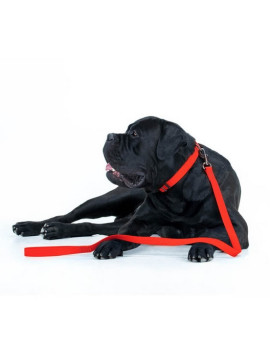 Collar Waterproof Smycz wodoodporna M 20mm/183cm czerwona