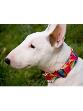 Dingo Obroża regulowana America Kolorado 3,0cm/60cm