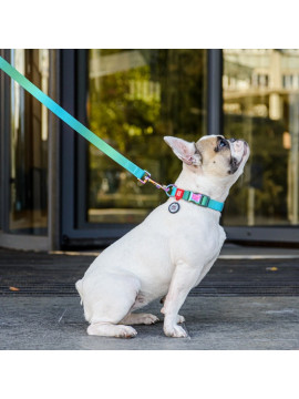 Collar WauDog Recycled Obroża nylonowa z QR-paszportem, gradient XL 25mm x 37-58cm niebieski