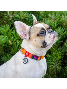 Collar WauDog Recycled Obroża nylonowa z QR-paszportem, gradient XL 25mm x 37-58cm pomarańczowy