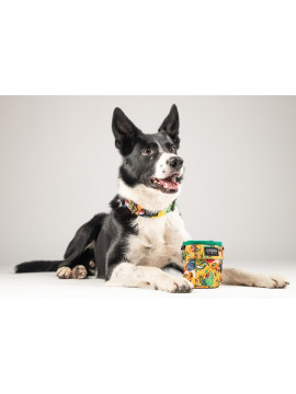 CHABA Saszetka na smakołyki Story III Multi 2w1 Jumbo