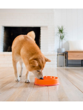 Outward Hound Fun Feeder Mini Miska spowalniająca pomarańczowa [51004]