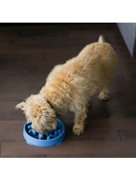 Outward Hound Fun Feeder Mini Miska spowalniająca niebieska [67830]