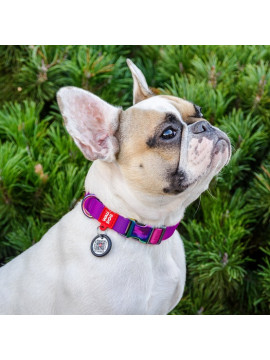 Collar WauDog Recycled Obroża nylonowa z QR-paszportem, gradient L 25mm/33-49cm fioletowy