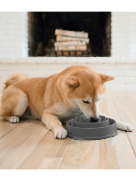 Outward Hound Fun Feeder Mini Miska spowalniająca szara [69891]
