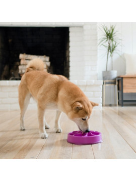 Outward Hound Fun Feeder Mini Miska spowalniająca fioletowa [51005]