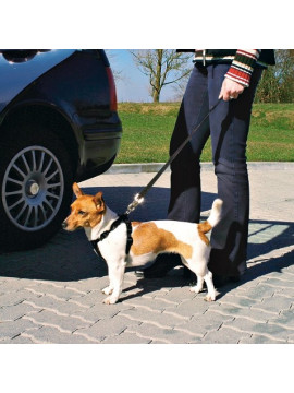 Trixie Szelki samochodowe dla psa M [1291]