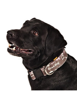 Dingo Obroża regulowana America Nevada 2,0cm/45cm