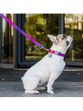 Collar WauDog Recycled Obroża nylonowa z QR-paszportem, gradient M 20mm/28-40cm fioletowy