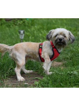 Dingo Szelki bezuciskowe z dwupaskową regulacją M czerwone