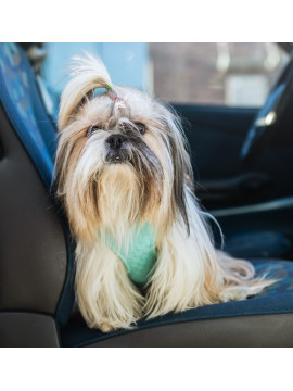 Dingo Szelki bezuciskowe z dwupaskową regulacją M miętowe