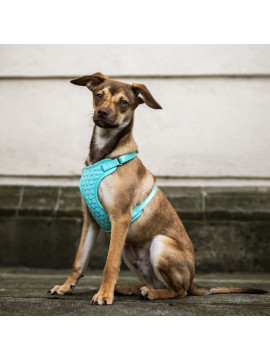 Dingo Szelki bezuciskowe z dwupaskową regulacją M miętowe