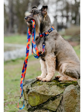 CHABA Obroża regulowana Story III XL Aussie