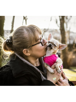Dingo Szelki bezuciskowe z dwupaskową regulacją S różowe