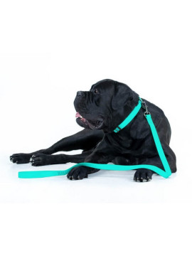 Collar WauDog Waterproof Obroża wodoodporna z QR-paszportem, akumulująca światło, plastikowy fastex, 25mm/34-49cm