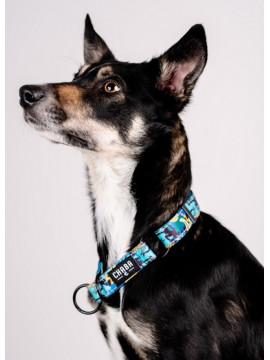 CHABA Obroża półzaciskowa Story III L Carnival