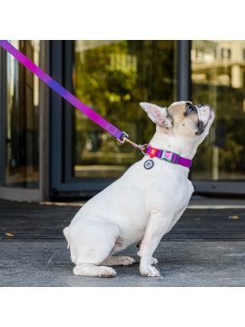 Collar WauDog Recycled Smycz nylonowa, gradient M 20mm/122cm fioletowy